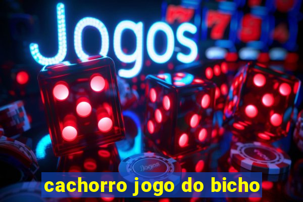 cachorro jogo do bicho